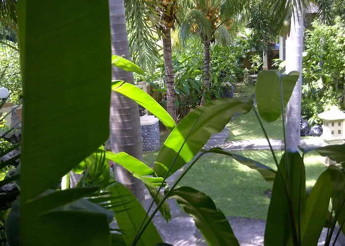 Pazzo Bali